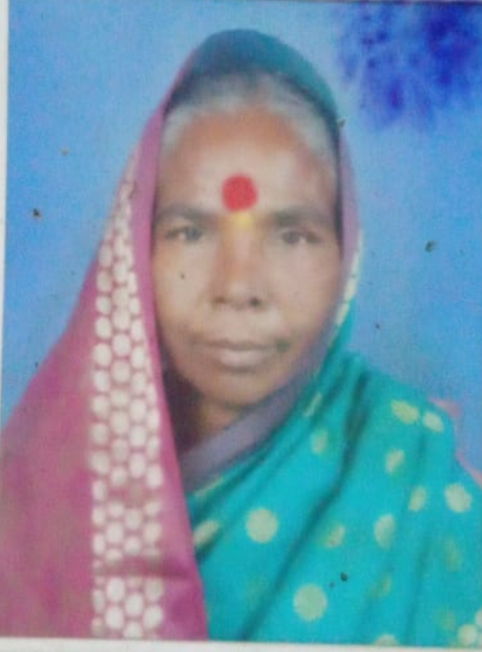 सदस्य